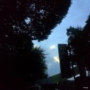 옥정산닭 이미지