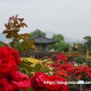 곡성-139 이미지