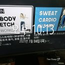 핏유엘