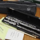 플룻 (고급) 이미지