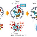 90스팀워시 이미지