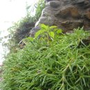 내평계곡민박 이미지