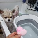 얼바인 동물병원 이미지