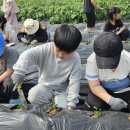 포리초등학교 이미지