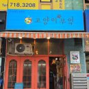 고양이부엌 | 고양이부엌 정자 내돈내산 후기 개추억 여행