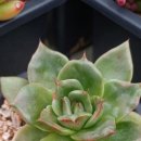 금종농장 이미지