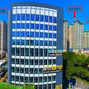 대백애견 이미지