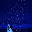 <국보> 1주년 기념 일본 재상영 후기 - 엔딩 끝나고 열띤 박수 갈채, 와 진짜 펑펑 울며 실제 가부키...