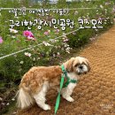 코스모스길14번길 | 코스모스 명소 &#39;구리한강시민공원&#39; 으로 서울근교 애견동반 나들이 최근 3번 간 후기