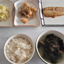 우메디칼 | 동춘동 우리산부인과 제왕절개 출산후기 2