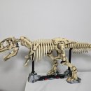 공룡발톱 | 레고(LEGO) 쥬라기 월드 76968 공룡 화석 T 렉스 티라노사우루스 조립 후기♡