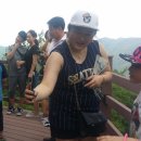 대전자양초등학교 이미지