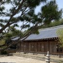 담양한옥에 | 담양 한옥 대형카페 더치스토리카페명지원점 부모님 아이와 함께하기 좋은 곳 내돈내산 후기