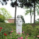 성분도복지관 이미지