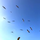 리치하우스민박 이미지