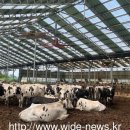 화성특례시, 2026년도 축산분야 지원사업 신청자 모집 이미지