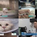 성지동물병원 이미지