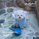 239-2-000005 | 날도 추운데 찜질 Go!? 펫 프렌들리 찜질방, 스파
