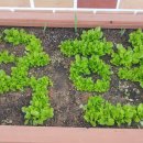 국현유치원 이미지