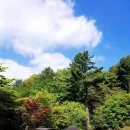 코쿠닝78 | 서울근교 캠핑장 추천. 애견과 같이 갈 수 있는 포천 유식물원 캠핌장 / 민속놀이 무궁화...