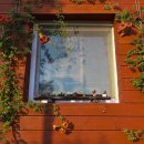 말봉바다낚시터 이미지