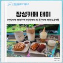 장성삼거리 | 아이와 함께 다녀온 수초어항이 있는 장성카페 태미
