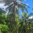 몰디브 | 몰디브 럭셔리 리조트 아야다몰디브 후기 3: 부대시설, 포토존