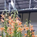 큰솔가든 이미지