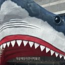 땅끝해양자연사박물관 | 해남 가볼만한곳 땅끝해양자연사박물관 초등 아이와 실내 체험 추천