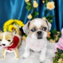 도꾸살롱 이미지