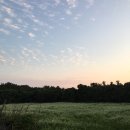 루프탑 정원 이미지