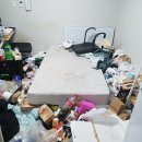 청년허리 이미지