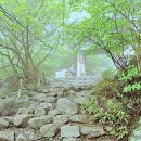 지리산(천왕봉~ 유평마을 240609) 이미지