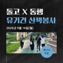 [모집] 돌고와 함께하는 유기견 산책봉사(9/14_월) 💙 이미지