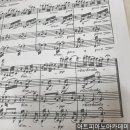 슈투트가르트 페가소스 스트링 콰르텟 | 베토벤 스트링 콰르텟 현악 4중주 16번 Op. 135 1 2 3 4 악장 F장조 바장조 Beethoven String Quartet...