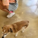 준독라운지 이미지