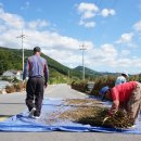 정감이마을 이미지