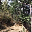 꿈꾸는유배지늡다리 | [그곳의멋56]유배의 시간을 기억하는 [茶山艸堂(다산초당)]에서 다시 돌아 본 실학정신