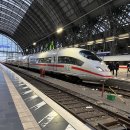 인천광역시의회 | 여자혼자 유럽여행 - 4박 5일 오스트리아 비엔나 여행 후기