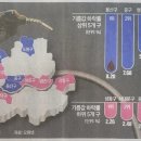 신정주유소 이미지