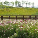 배곧생명공원 이미지