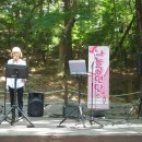 부소산성 낙화암 갈림길 이미지