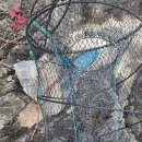 안인진길 이미지