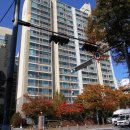 필하이약국 이미지