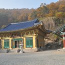 충열농장 Daum카페