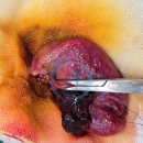 오케이메디컬 이미지