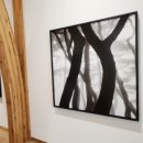 김재경한의원 이미지