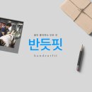 반듯핏 이미지