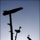 서탄초금각분교장 이미지