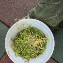 태백어린이집 놀이시설 이미지